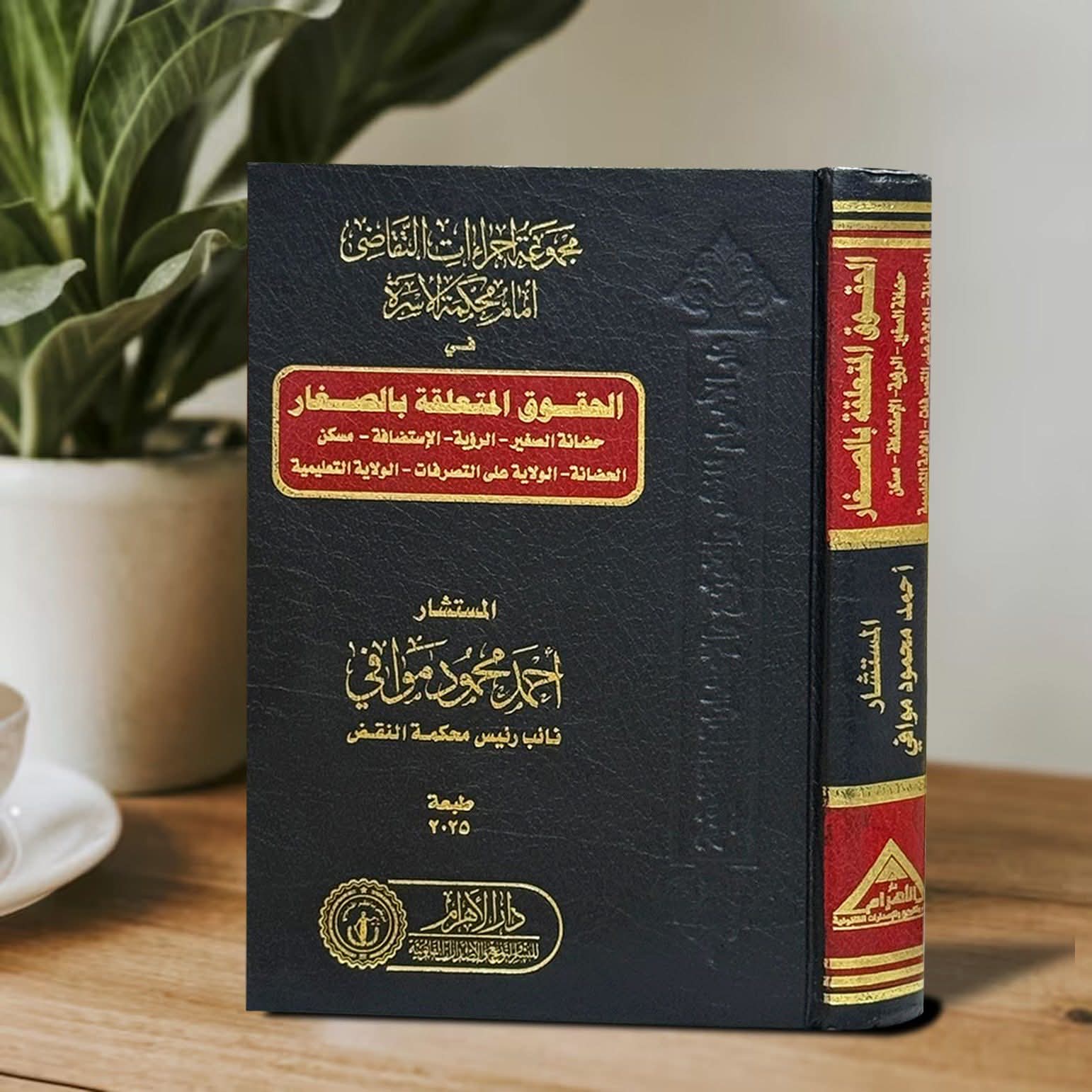 مجموعه اجراءات التقاضى امام محكمه الاسره /الحقوق المتعلقه بالصغار